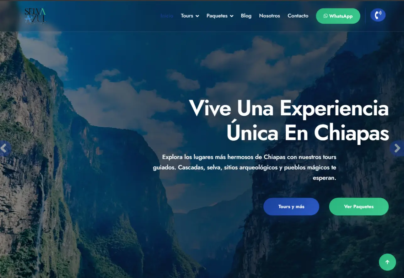 Selva Azul Tours